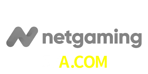 NetGaming